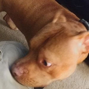 Meet your Posher, Lilly